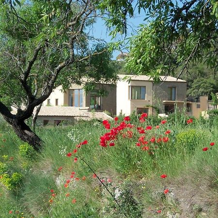 Alen D'Aragon Konuk evi Santa Eulalia de Gállego Dış mekan fotoğraf