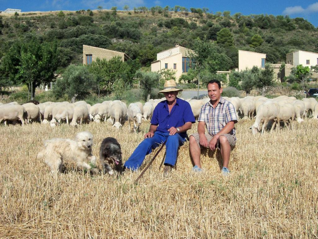 Alen D'Aragon Konuk evi Santa Eulalia de Gállego Dış mekan fotoğraf