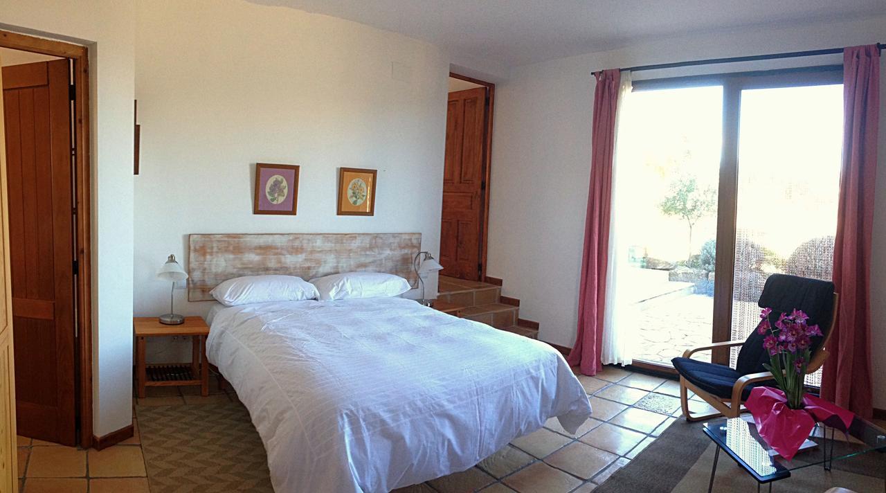 Alen D'Aragon Konuk evi Santa Eulalia de Gállego Dış mekan fotoğraf